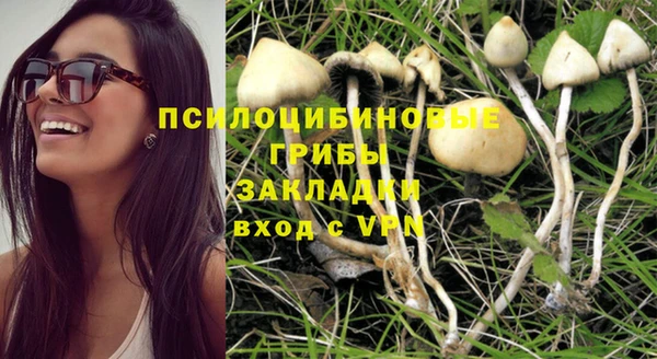 стафф Абдулино