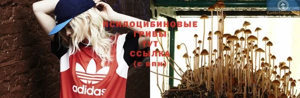 стафф Абдулино
