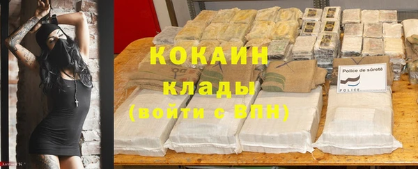 ГАЛЛЮЦИНОГЕННЫЕ ГРИБЫ Абаза