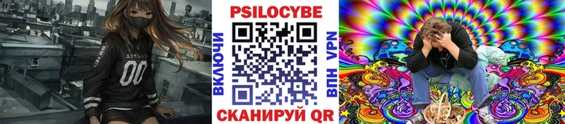 как найти закладки Тольятти Псилоцибиновые грибы Cubensis